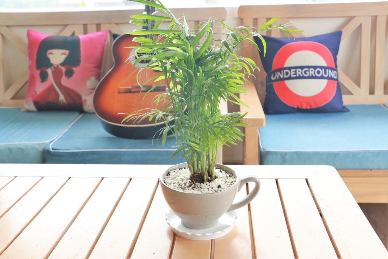 Dalat Eco Home Ngoại thất bức ảnh